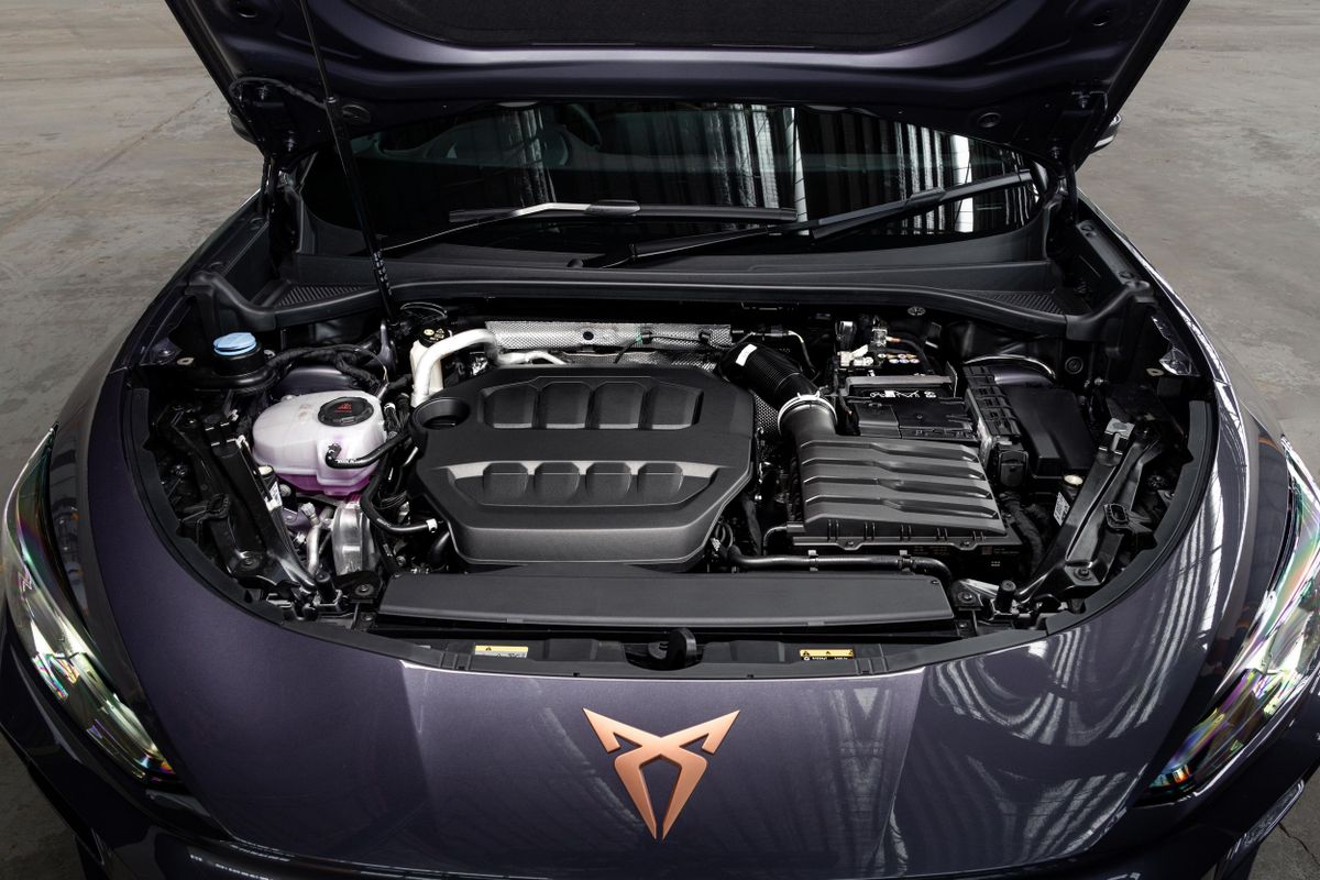 Cupra Террамар 2024. Двигатель. SUV 5 дв., 1 поколение