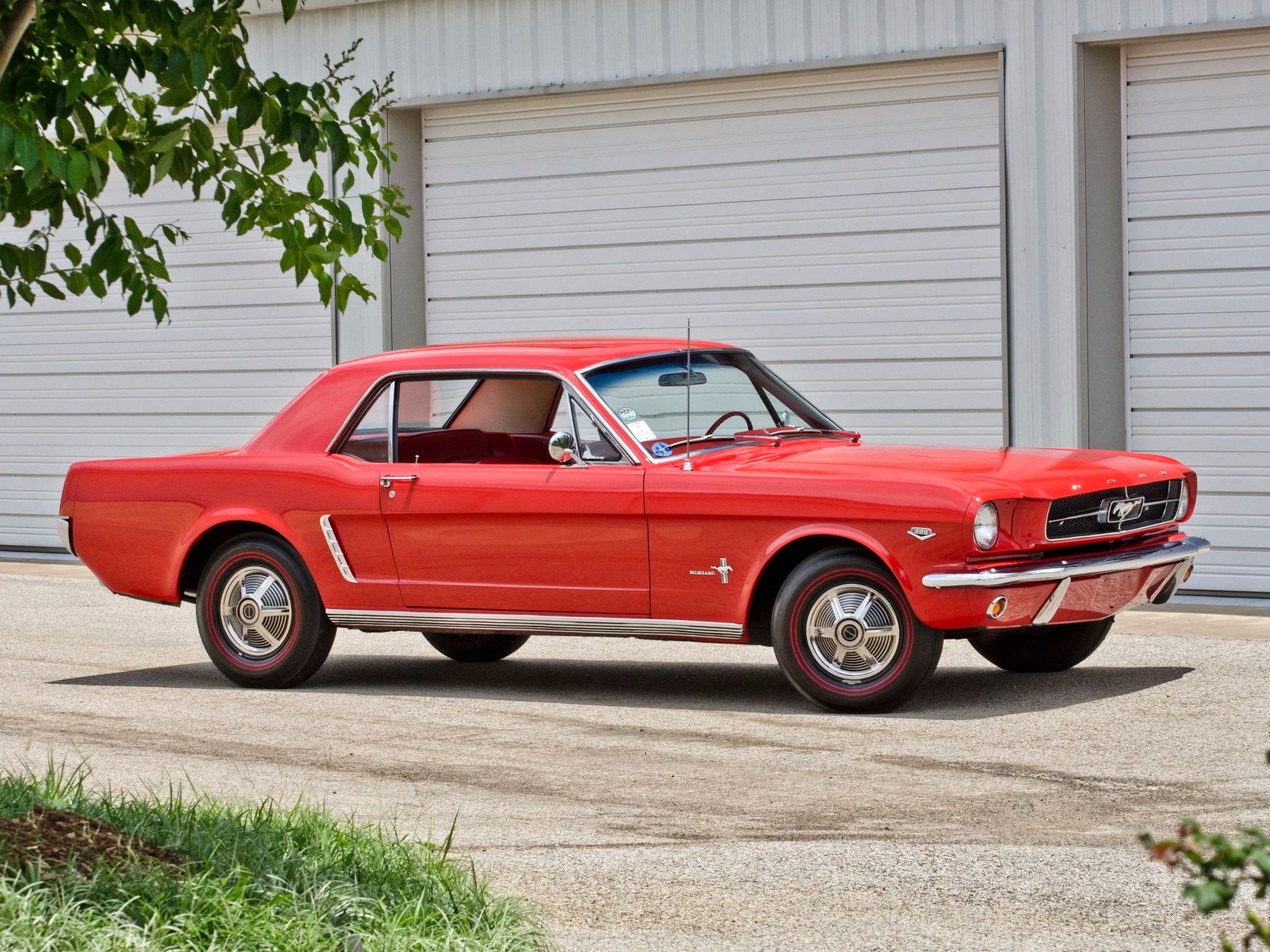 Shelby gt 65