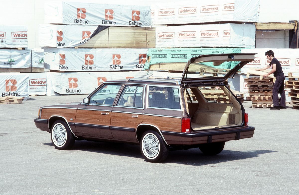 Plymouth Reliant 1981. Carrosserie, extérieur. Break 5-portes, 1 génération