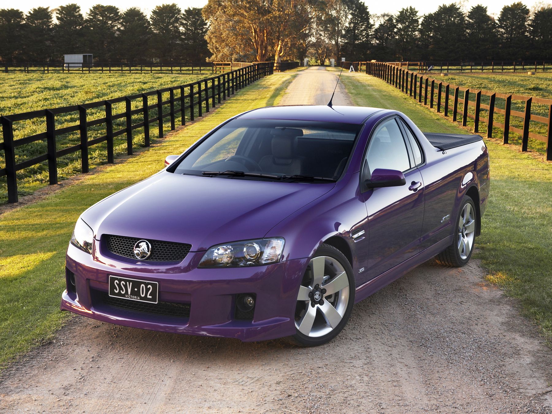 Holden 2009
