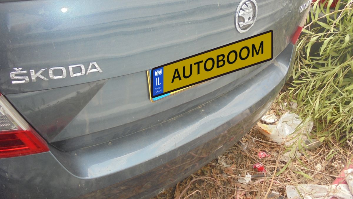 Škoda Octavia 2ème main, 2019, privée