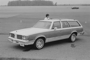 Pontiac LeMans 1978. Carrosserie, extérieur. Break 5-portes, 5 génération