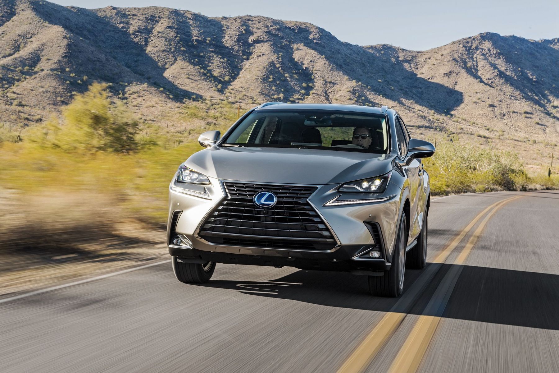 Lexus NX 300h 2019