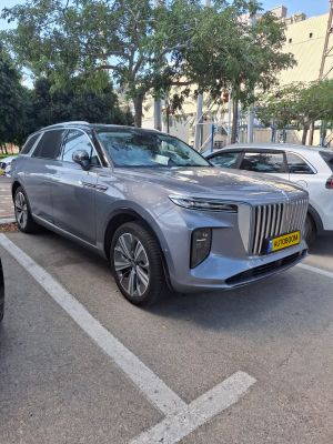 هونشي E-HS9 مستعمل, 2024, مالك خاص