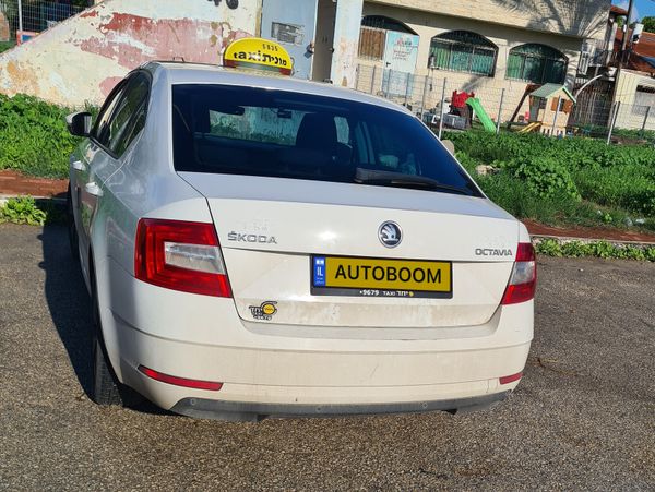 Škoda Octavia 2ème main, 2019