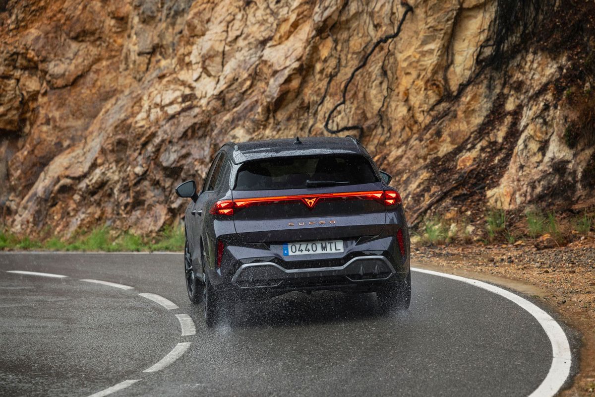 Cupra Террамар 2024. Кузов. SUV 5 дв., 1 поколение
