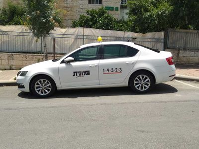 شكودا اوكتافيا مستعمل, 2019