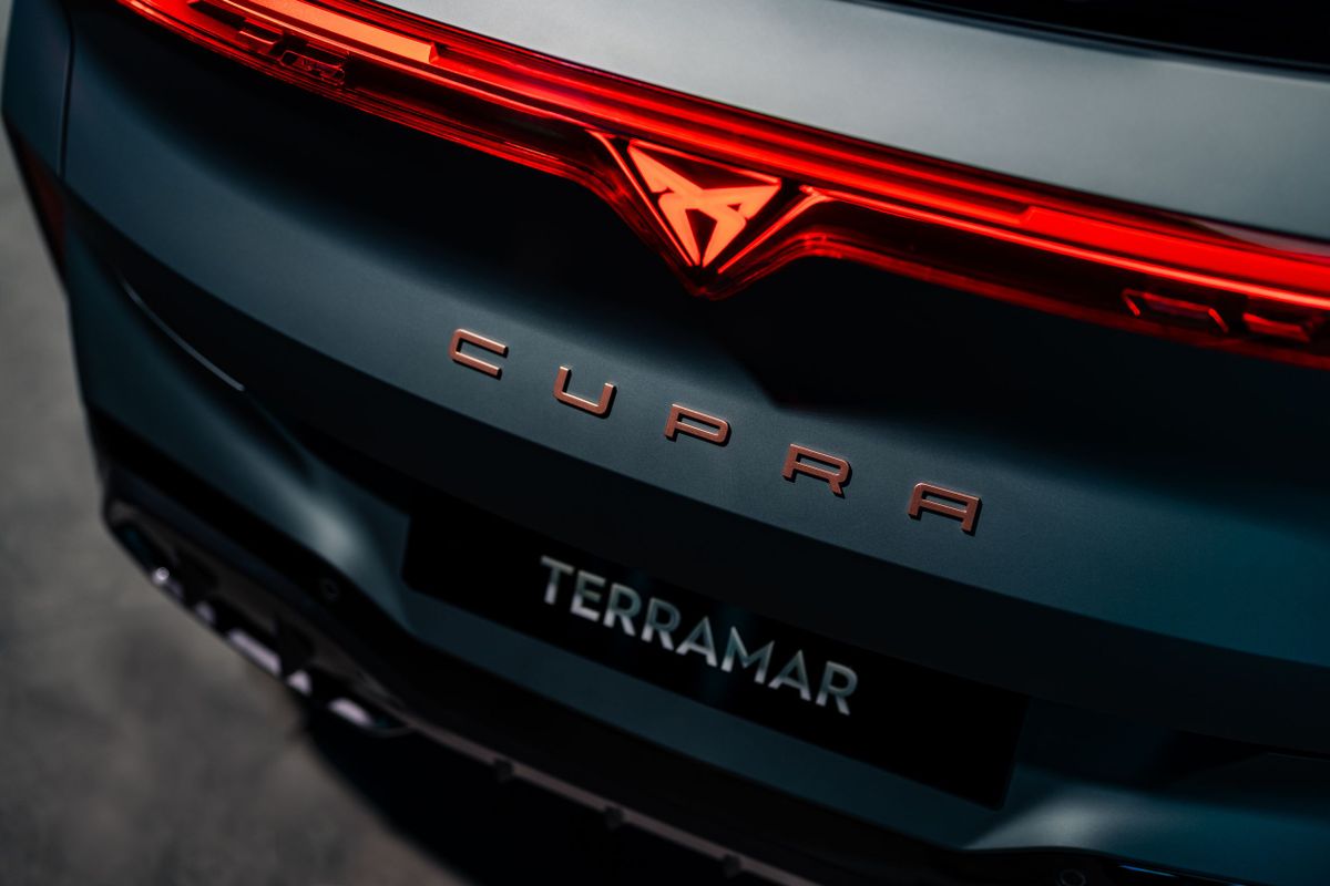 Cupra Террамар 2024. Задние фонари. Внедорожник 5 дв., 1 поколение