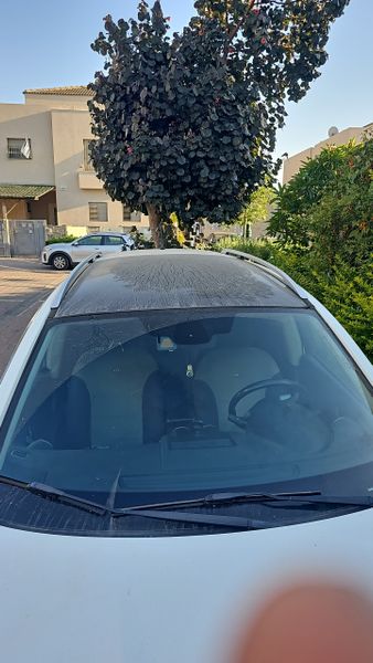 Nissan Qashqai +2 2ème main, 2014, main privée