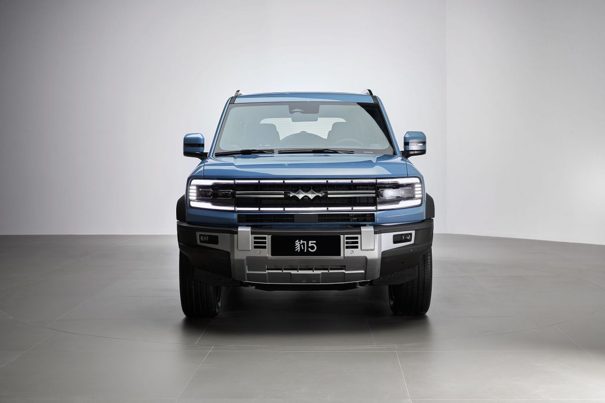 Denza B5 2023. Кузов. SUV 5 дв., 1 поколение