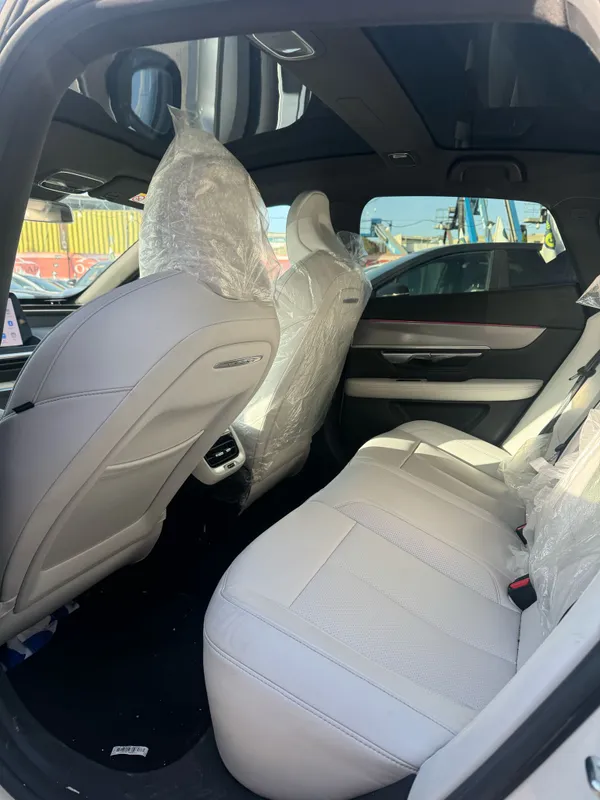 Xpeng P7 2nd hand, 2024, private hand