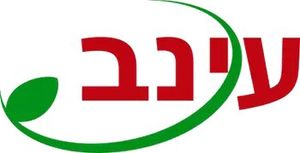 Einav, logo