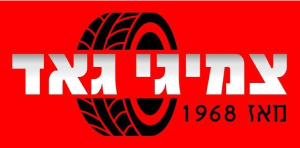 Шиномонтаж Жад, логотип
