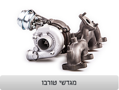 המדביק חולון, תמונה 2