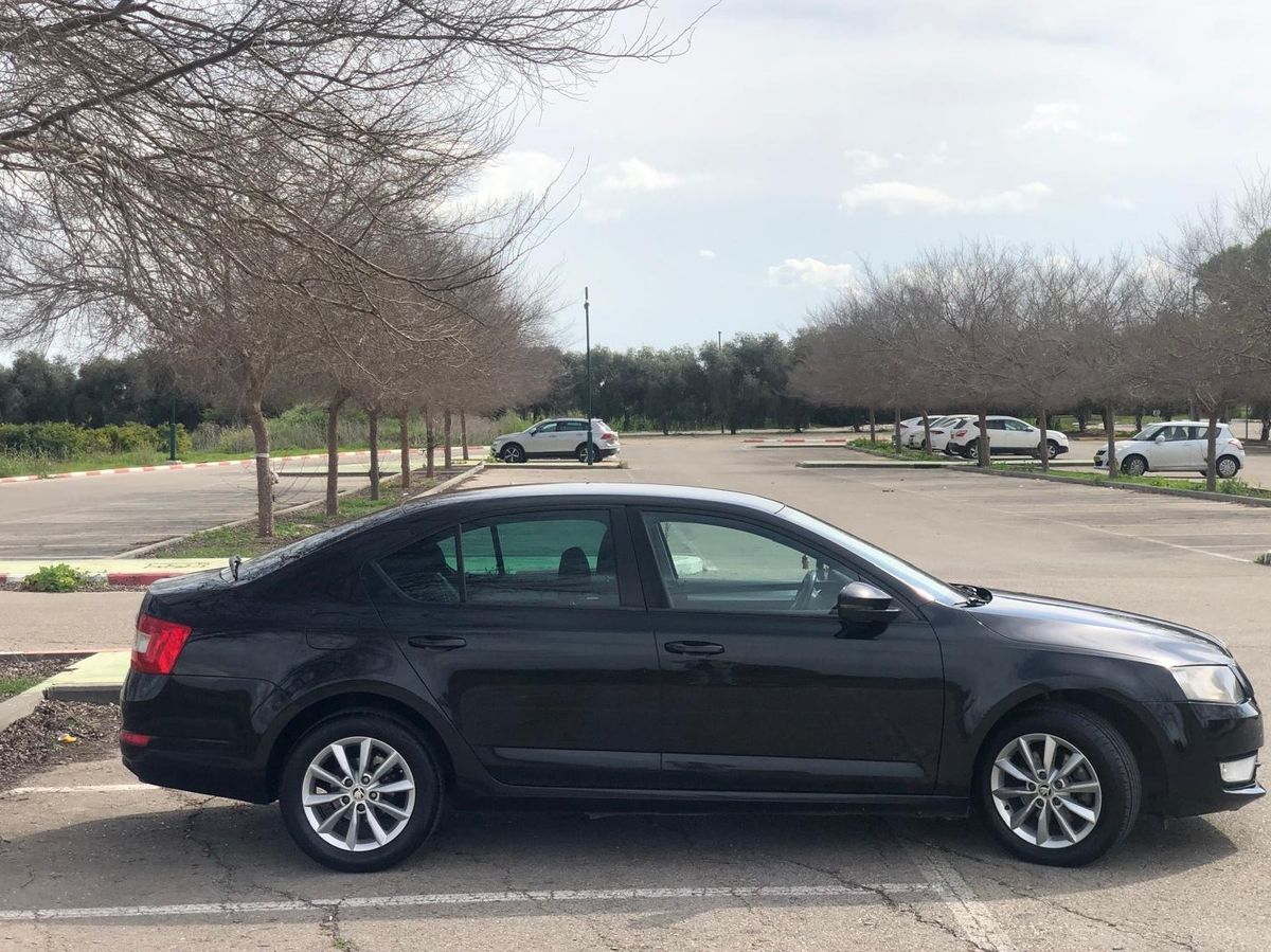 Škoda Octavia 2ème main, 2016, main privée