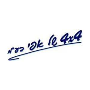 4x4 Efi, logo