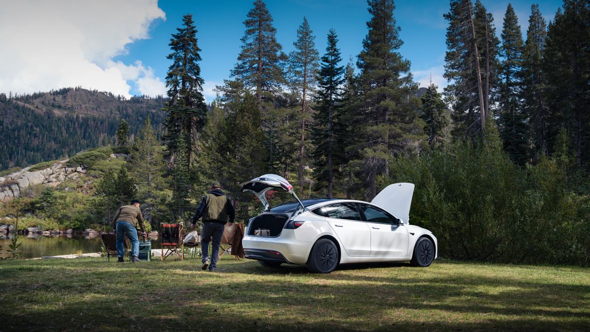 Tesla Model 3 2023. Кузов. Седан, 1 поколение, рестайлинг 1
