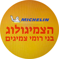 Бени Роми Цмигим, логотип