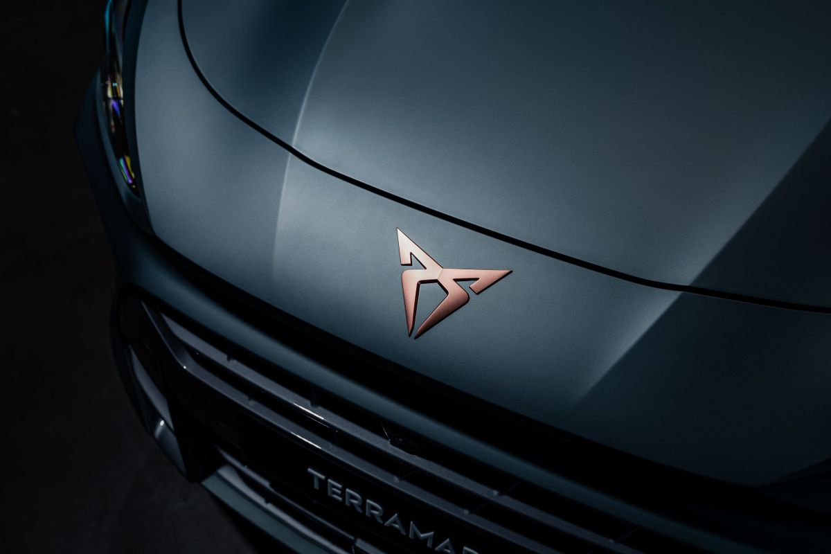 Cupra Террамар 2024. Кузов, экстерьер. Внедорожник 5 дв., 1 поколение