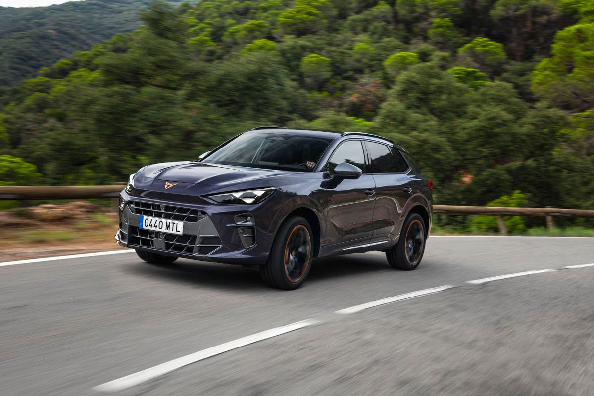 Cupra Террамар 2024. Кузов. SUV 5 дв., 1 поколение