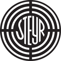Стейр логотип