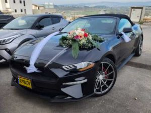 Ford Mustang, 2019, photo