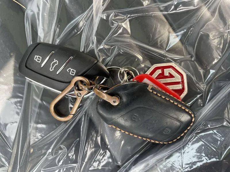 MG EHS 2ème main, 2022, main privée