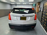 صورة معرف الإعلان 502856