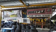 Tires Chaim Ozen, photo 3