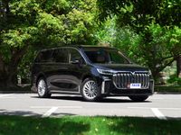 Войя Дример 2022. Кузов, экстерьер. Минивэн, 1 поколение