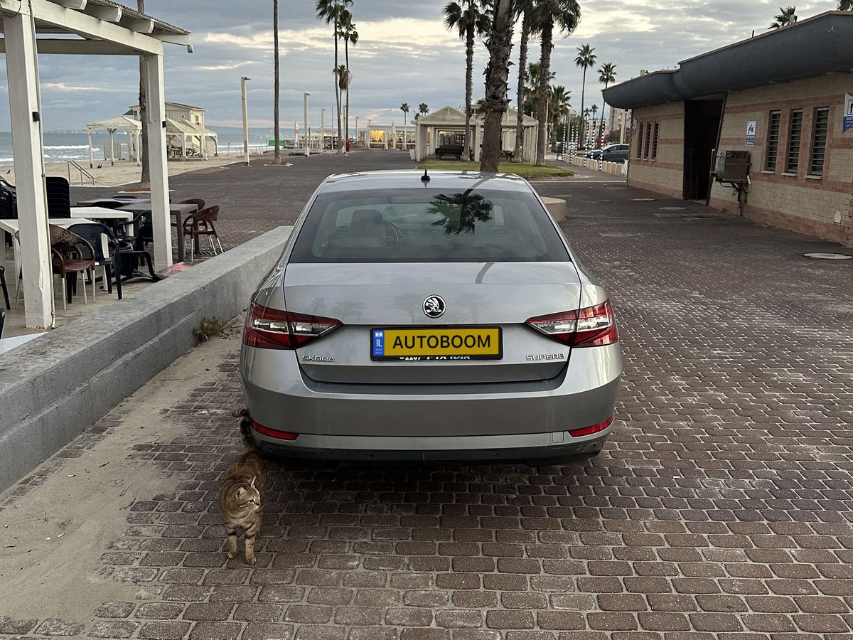 Škoda Superb 2ème main, 2019, main privée