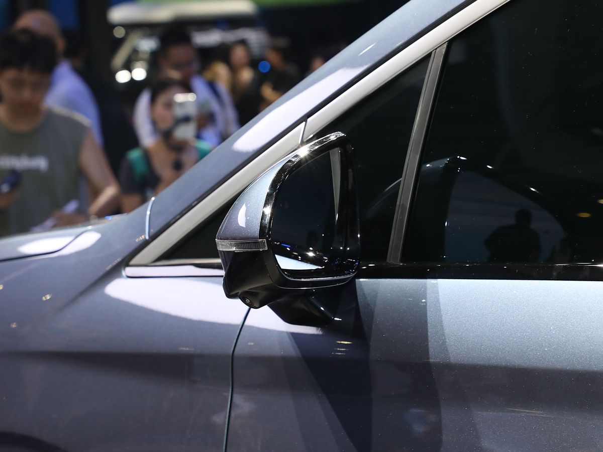 BYD Xia 2024. Боковые зеркала. Минивэн, 1 поколение