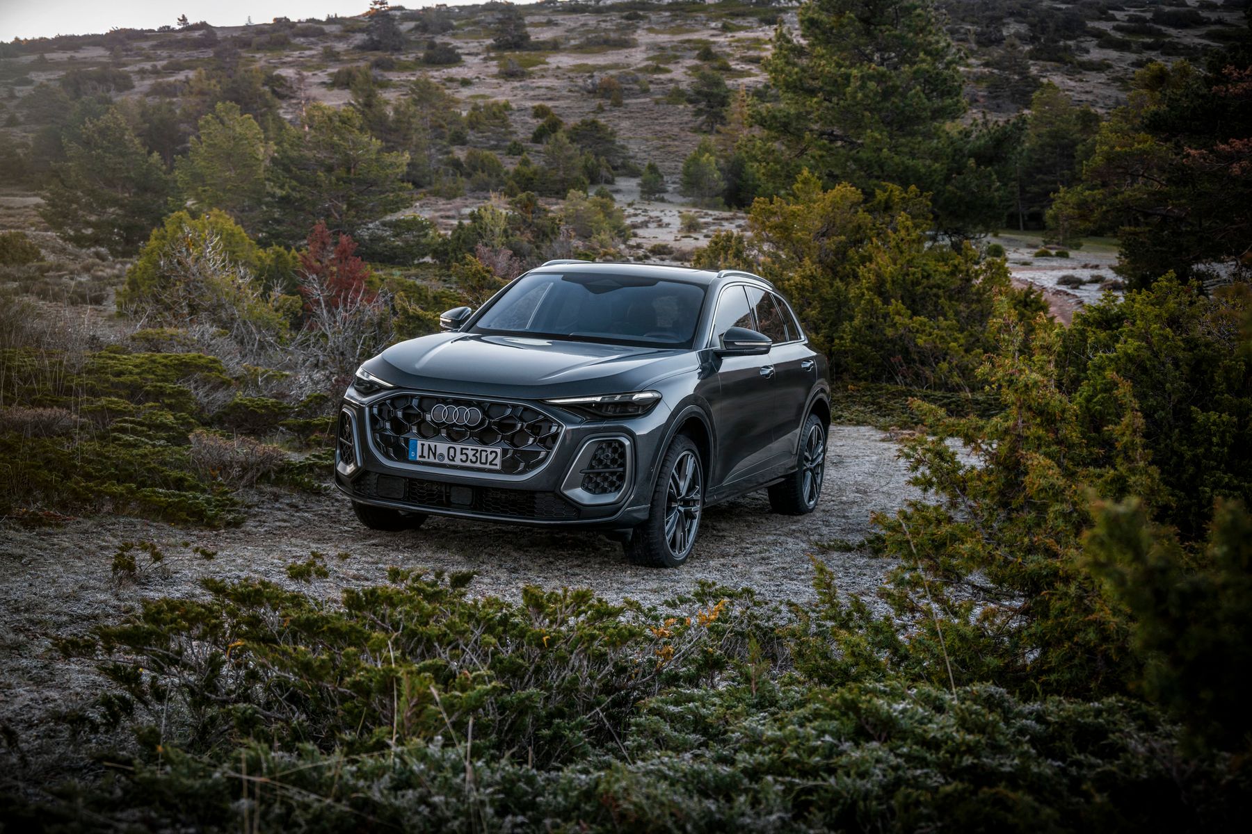 Audi Q5 2024. Кузов, экстерьер. Внедорожник 5 дв., 3 поколение