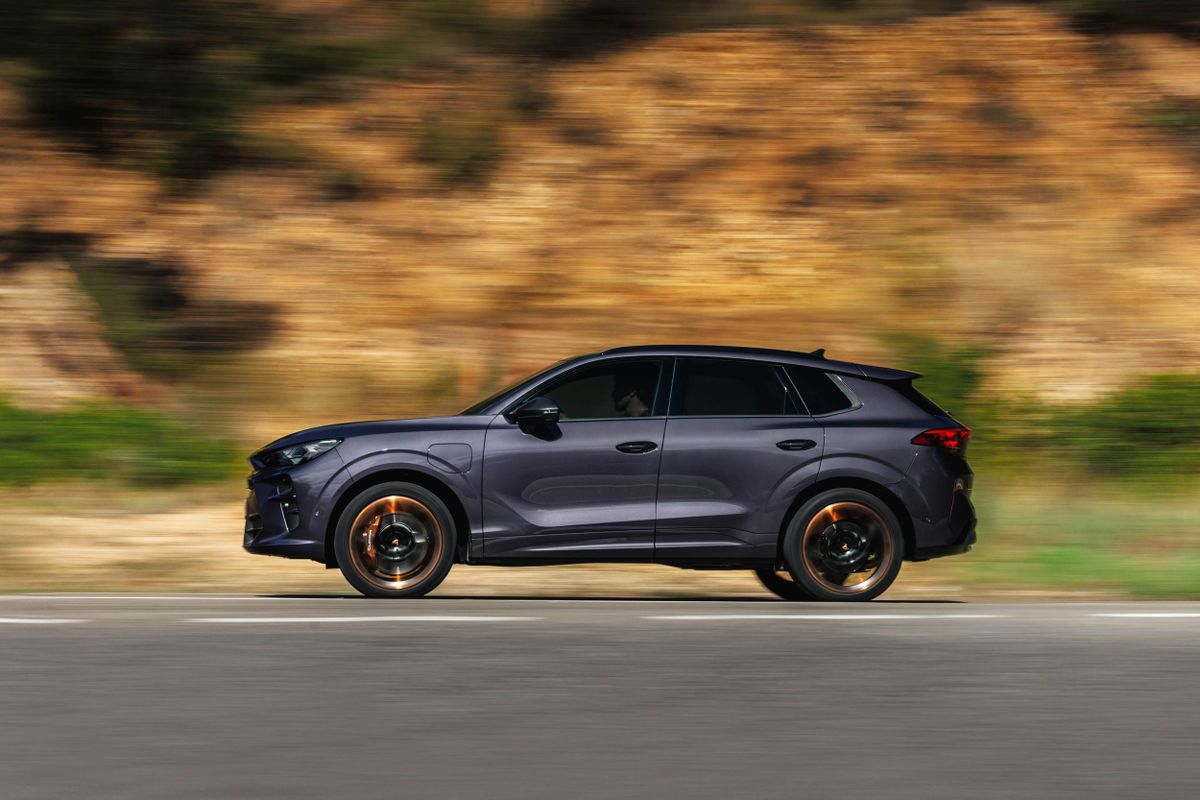 Cupra Террамар 2024. Кузов. SUV 5 дв., 1 поколение