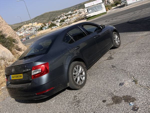 Skoda Octavia с пробегом, 2019, частная рука