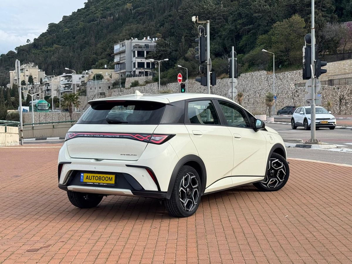 بي واي دي دولفين مستعمل, 2023, خصوصي