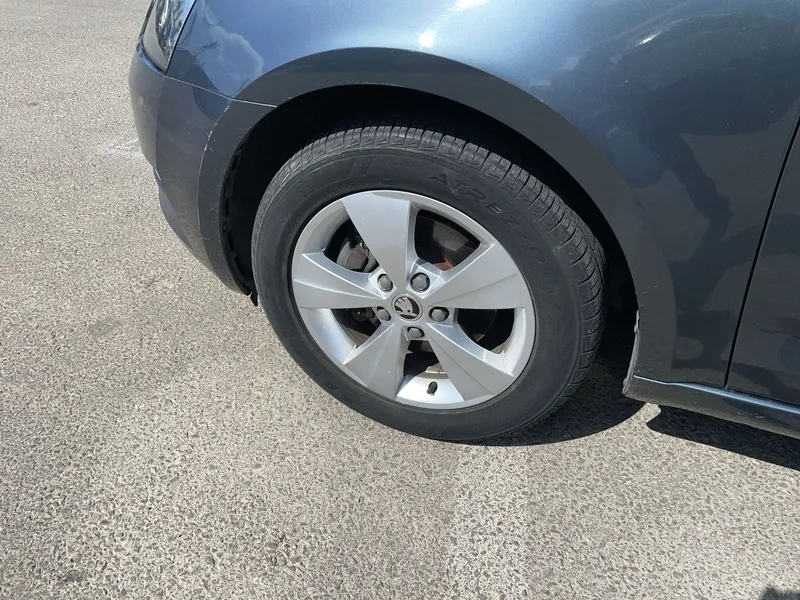 شكودا اوكتافيا مستعمل, 2019