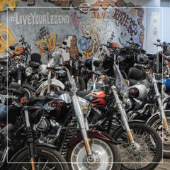 Harley Davidson Tel Aviv، صورة 5