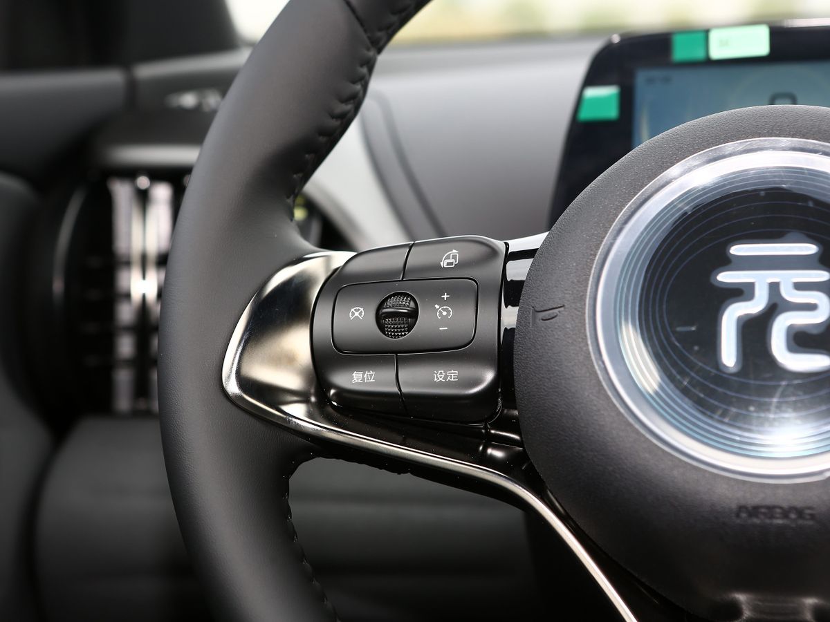 BYD Atto 3. Руль.