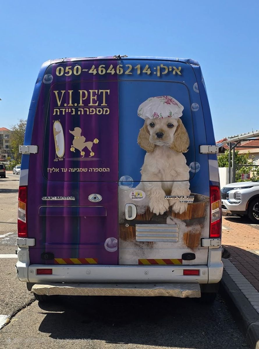 Maxus V80 2nd hand, 2019, private hand
