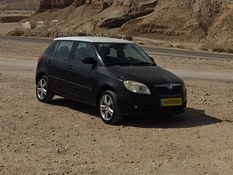 Skoda Fabia 2nd hand, 2009, private