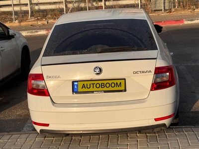 شكودا اوكتافيا مستعمل, 2019, مالك خاص