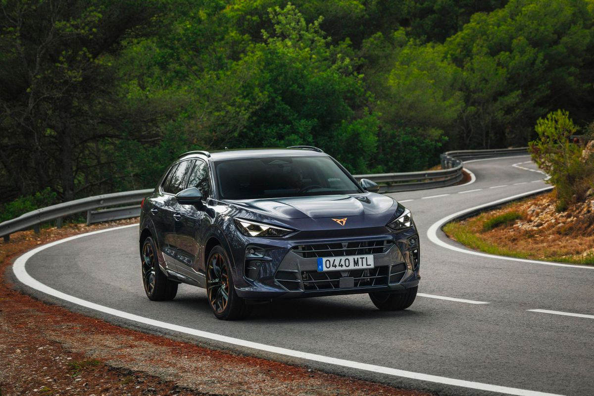 Cupra Террамар 2024. Кузов. SUV 5 дв., 1 поколение