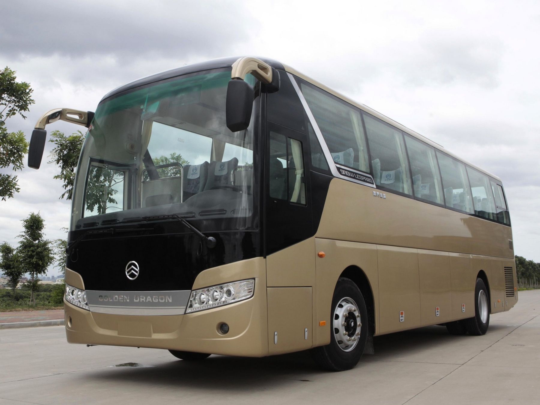 Р®С‚РѕРЅРі Golden Dragon 6126