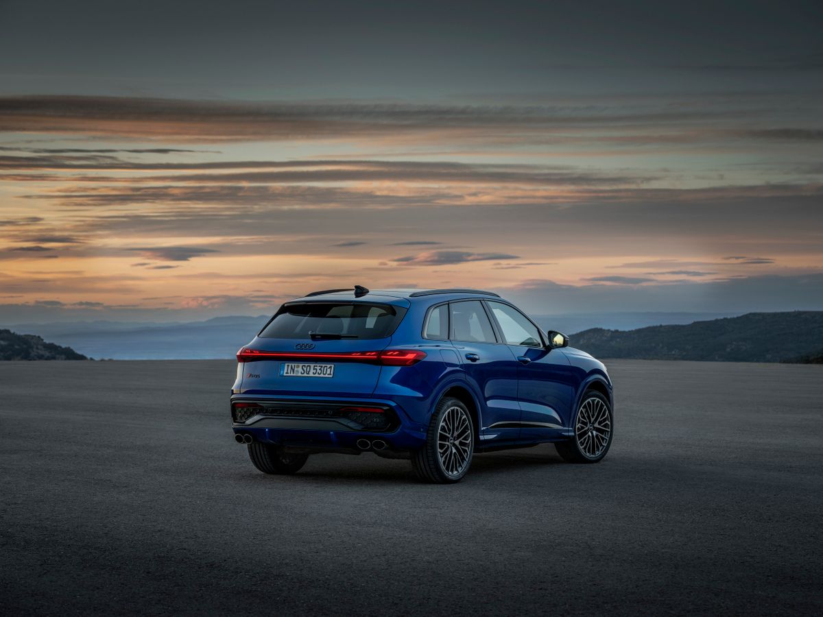 Audi SQ5 2024. Кузов, экстерьер. Внедорожник 5 дв., 3 поколение