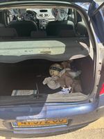 Renault Clio 2nd hand, 2009, private