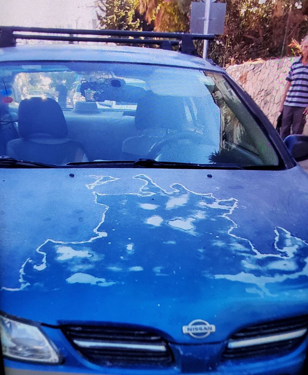 Продаю Ниссан Альмера, 2001 в Израиле: синий 2001 года за ₪ 5.000, 2-я ...