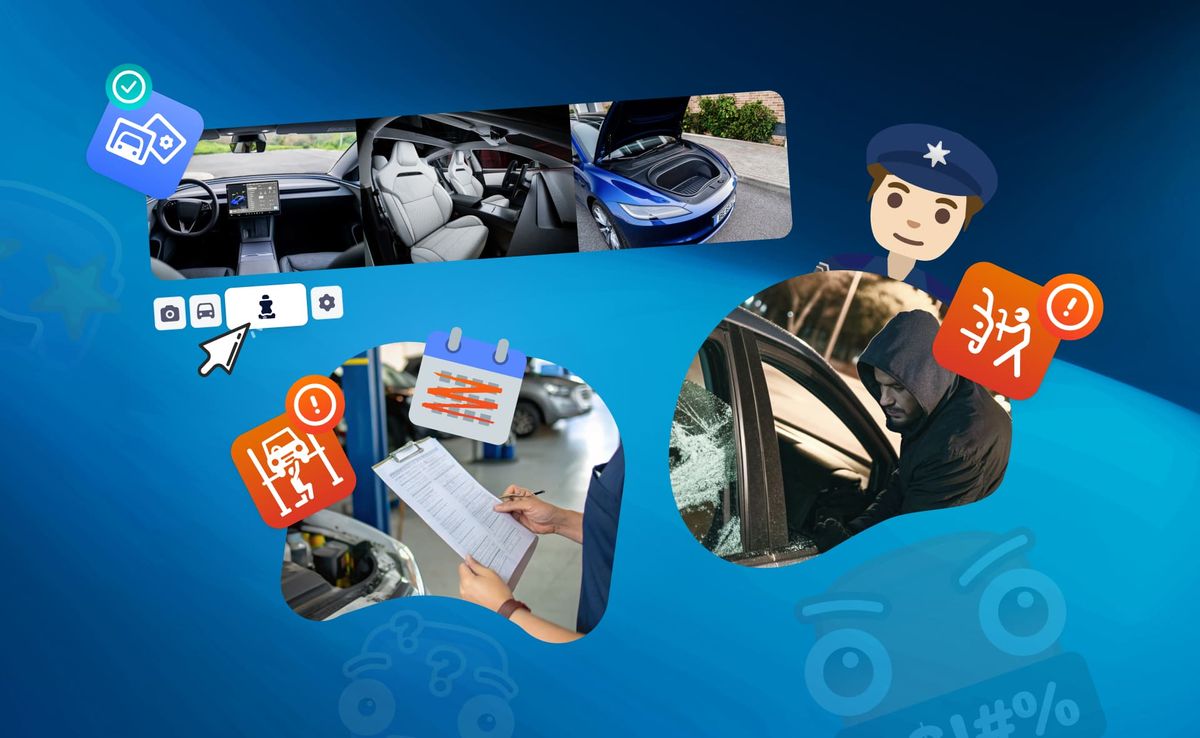 Find car & check
