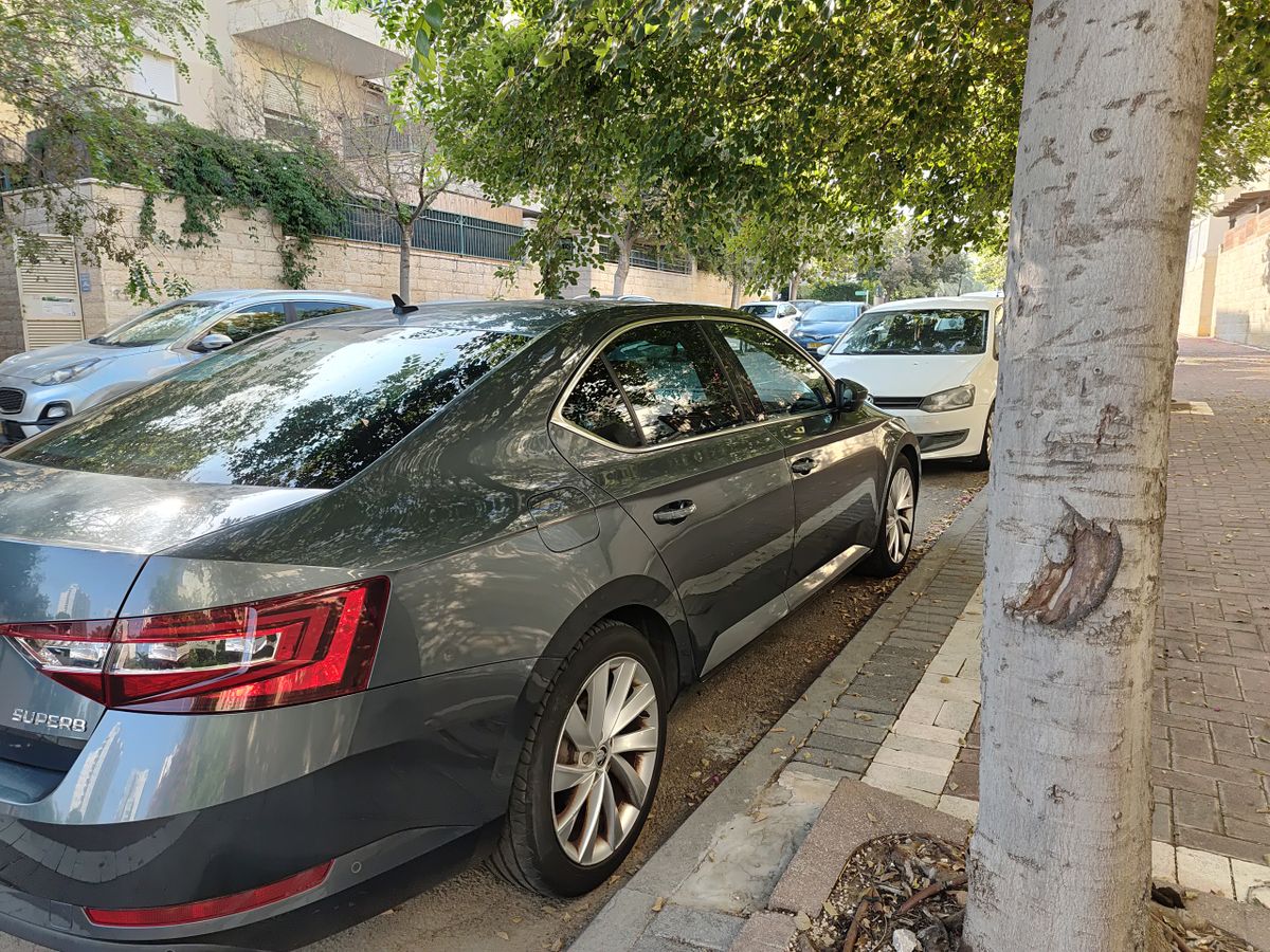 Škoda Superb 2ème main, 2019, main privée