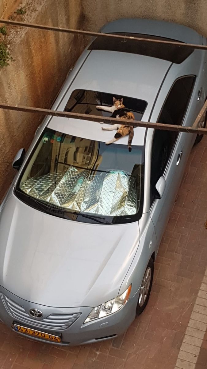 Toyota Camry 2nd hand, 2008, private hand